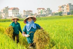 Tư duy mới trong nông nghiệp