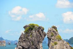 Đưa Sách Trắng về Tăng trưởng Xanh khu vực Vịnh Hạ Long vào giảng dạy