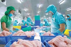 10 nhận định đáng chú ý về xuất khẩu thủy sản năm 2024