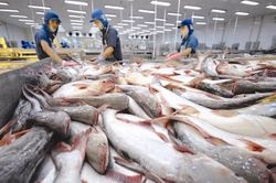 Xuất khẩu thủy sản có thể đạt 10 tỷ USD năm 2024