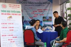 TPHCM cần hơn 25.000 vị trí việc làm dịp Tết Nguyên đán 2024