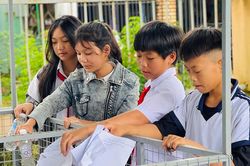 Học sinh trường xã xung kích bảo vệ môi trường