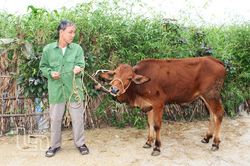 TP. Phổ Yên: Phấn đấu giảm tỷ lệ hộ nghèo từ 0,3% trở lên