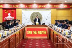 Chuẩn bị chu đáo các hoạt động đón Tết, mừng Xuân Giáp Thìn 2024
