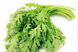 Loại rau cực ngon của mùa đông giúp chữa ho, đau đầu