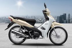 Cập nhật bảng giá xe máy Honda Wave Alpha mới nhất tháng 1/2024