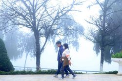 Thời tiết ngày 5/1: Bắc Bộ có sương mù, trời rét về đêm và sáng sớm