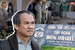 Công ty của 'bầu' Đức muốn bán 13,3 triệu cổ phiếu HNG để trả nợ trái phiếu