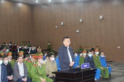 Cựu Bộ trưởng Chu Ngọc Anh bất ngờ khai 'làm mất' vali chứa 200.000 USD nhận hối lộ