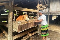Nỗ lực thực hiện Chương trình Mục tiêu quốc gia phát triển kinh tế - xã hội vùng đồng bào dân tộc thiểu số