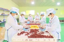 Bắc Kạn thu ngân sách năm 2023 đạt hơn 837 tỷ đồng