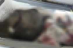 Phạt hơn 77 triệu đồng cơ sở kinh doanh thực phẩm không rõ nguồn gốc