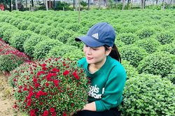 Các làng hoa ở Nghệ An chộn rộn đón Tết
