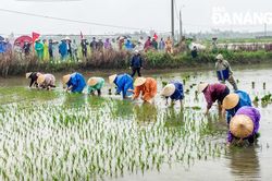 Rộn ràng lễ hội xuống đồng ở Cẩm Châu