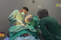 Bi kịch của người dân Gaza qua lăng kính bác sĩ Canada