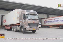 Doanh nghiệp không được 'tái định cư' khi GPMB vành đai 4