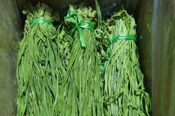 Loại rau trông như nắm cỏ, giá nửa triệu đồng/kg vẫn đắt hàng