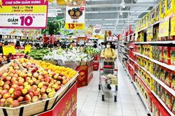 Chỉ số giá tiêu dùng tháng 12-2023 giảm 0,1%