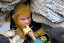 Độc lạ công việc 'ăn, chơi' rồi lĩnh lương tại Trung Quốc