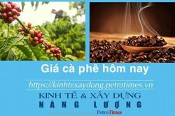 Giá cà phê hôm nay 8/1: Robusta và Arabica ổn định