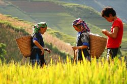 Việt Nam được vinh danh là quốc gia an toàn nhất để du lịch ở châu Á