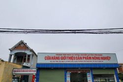 Vụ lợn dự án cấp cho dân bị ốm, chết: Thông tin bất ngờ từ đơn vị tiêm phòng