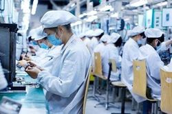 EuroCham: Niềm tin của các doanh nghiệp châu Âu đang có dấu hiệu phục hồi
