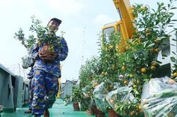 Vùng 2 Hải quân tổ chức đoàn công tác chúc Tết cán bộ, chiến sĩ nhà giàn DK1