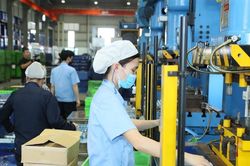 Doanh nghiệp châu Âu: Lạc quan với môi trường kinh doanh Việt Nam