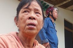 Nhân chứng kể lại phút máy bay quân sự rơi vào vườn nhà dân