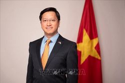 Đại sứ Nguyễn Thanh Hải: Việt Nam và Ấn Độ còn nhiều tiềm năng hợp tác