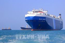 Căng thẳng Biển Đỏ: Doanh nghiệp xuất khẩu cần linh hoạt ứng phó