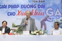 Giải pháp đường dài cho xuất khẩu gạo