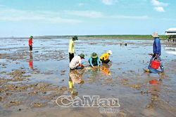 Trải nghiệm thú vị tại bãi bồi