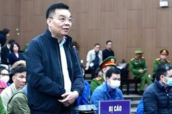 Cựu Bộ trưởng Chu Ngọc Anh: 'Bị cáo ân hận, day dứt suốt 581 ngày tạm giam'