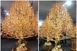 Chiêm ngưỡng cây đào mạ vàng 1,3 tỷ lớn nhất Việt Nam