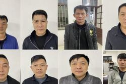 Quảng Ninh triệt phá đường dây cá độ giao dịch hàng trăm tỷ đồng/tháng