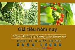 Giá tiêu hôm nay 10/1: Giảm tại thị trường trong nước