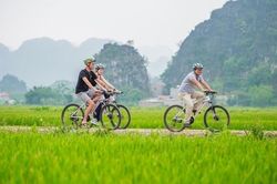 Trải nghiệm các xu hướng du lịch xanh