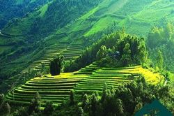 Nơi nào ở Việt Nam được vinh danh 'điểm đến thiên nhiên hàng đầu thế giới'?