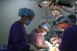 Huy động 100 y, bác sĩ lấy mô, tạng từ 2 người chết não, cứu 8 người