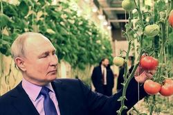 Ông Putin lần đầu tiên tới thăm khu vực giáp biên giới Mỹ