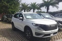 Haval H6 phiên bản giá rẻ bất ngờ xuất hiện tại Việt Nam