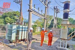 Điện lực Hậu Lộc nâng cấp, cải tạo hệ thống điện phục vụ phát triển kinh tế - xã hội
