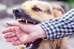 Nhiều dịch bệnh có số người mắc và tử vong tăng cao