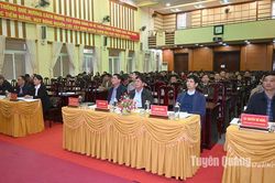 Chiêm Hóa phấn đấu trồng mới 1.960ha rừng trong năm 2024