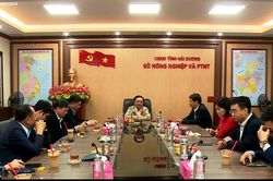 Bộ trưởng Lê Minh Hoan: Nông dân Hải Dương đã bắt kịp xu hướng sản xuất xanh