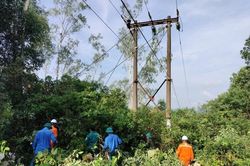 Một công nhân điện lực bị tử vong do điện giật