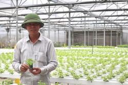 8.094 hộ nông dân Thanh Trì đạt danh hiệu sản xuất - kinh doanh giỏi các cấp