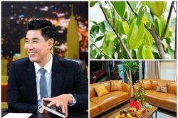 Ngắm hoa trái bên trong căn hộ của MC giàu nhất nhì showbiz Việt